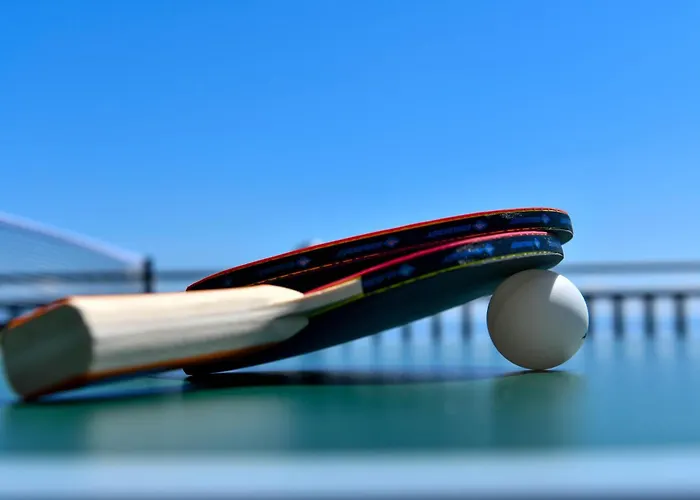 House Bucic - Apartment 1 Дом отдыха *